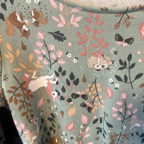 Sprill fall top or dress aqua green with unicorns and other animals on it - Picture 3 of 5